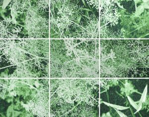 C. Warmington, Gulf Coast Groundscape No. 4, 2020