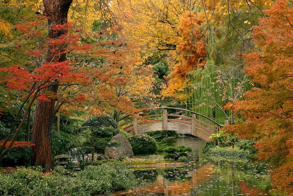 golden moon bridge at the fort worth botanic garden