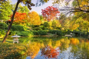 Japanese Garden in Autumn